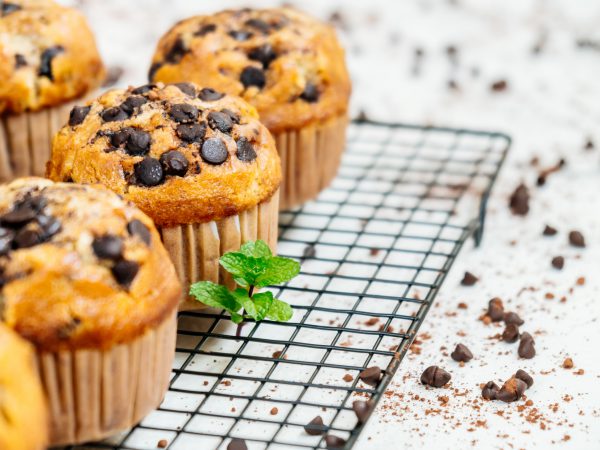 chocolate-chip-muffin